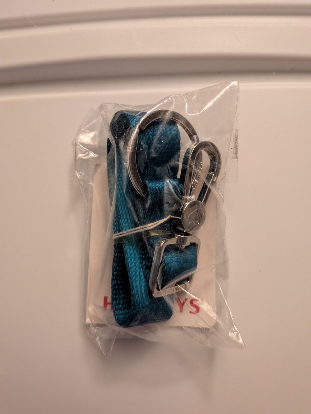 Harveys Seatbelt Keychain in the color Lagoon (model #1001-4002)